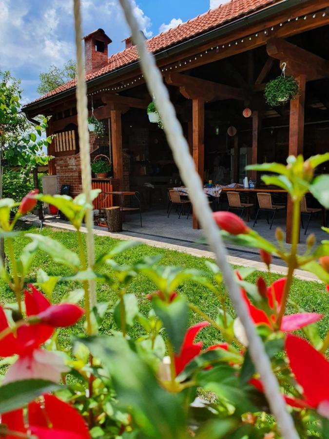 Homestay Casa Ana