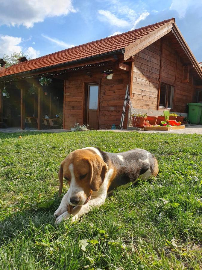 Casa Ana Homestay Cluj-Napoca