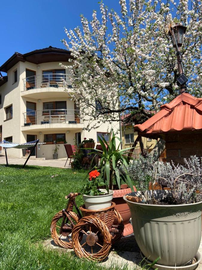 Homestay Casa Ana