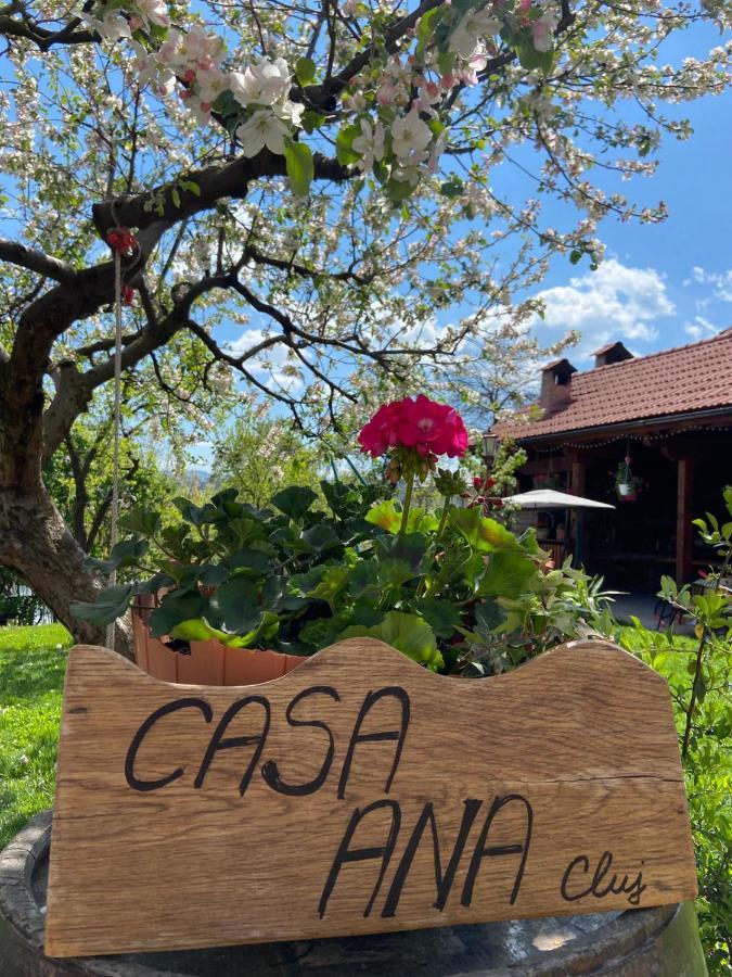 Homestay Casa Ana *