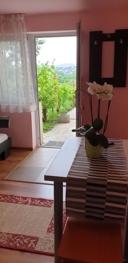 Casa Ana Homestay *